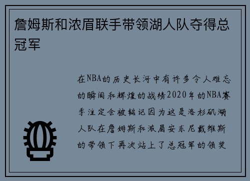 詹姆斯和浓眉联手带领湖人队夺得总冠军
